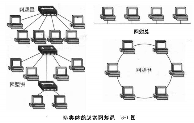 局域网常见结构类型