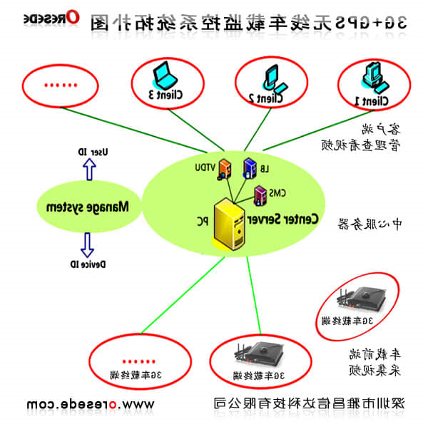 网络政治