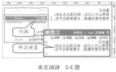 粘贴文本